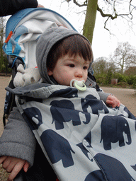 Max at the Antwerp Zoo