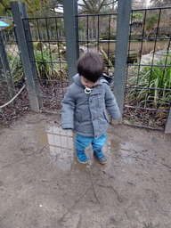 Max and a Harbor Seal under water at the Vriesland building at the Antwerp Zoo