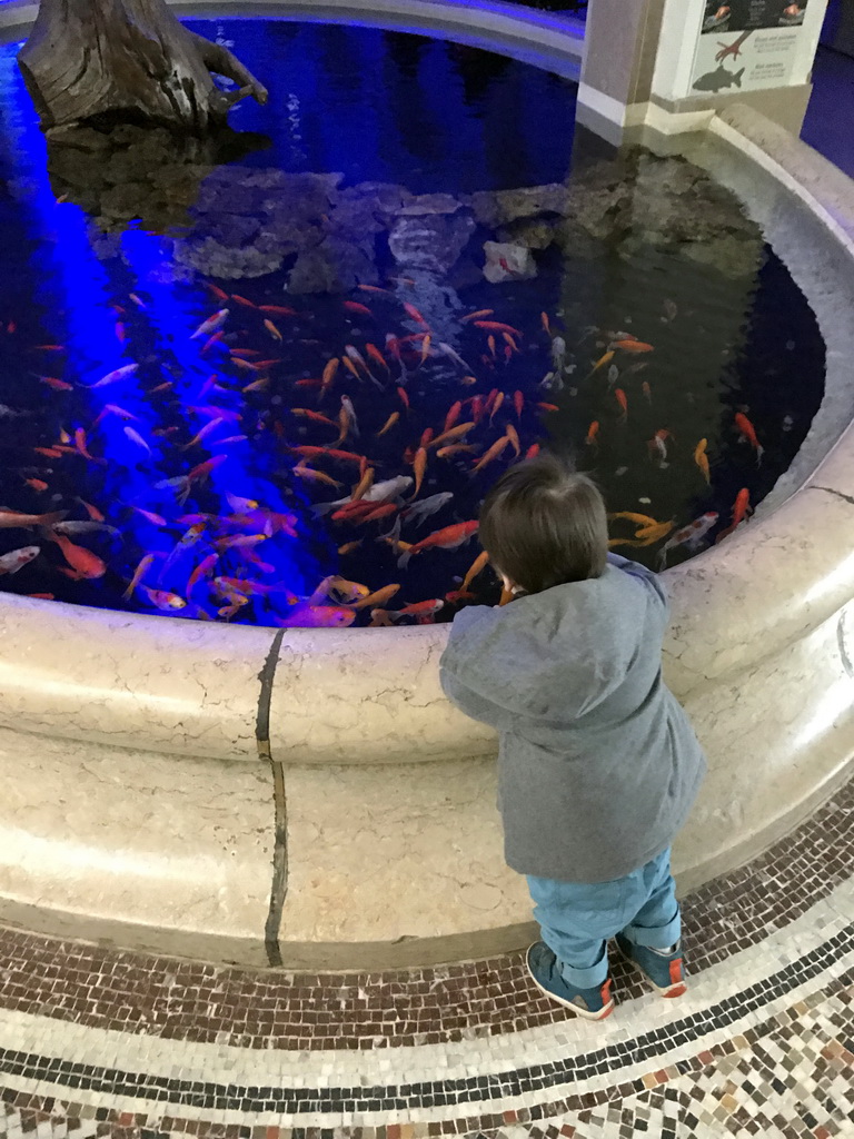 Max and goldfish at the Aquarium of the Antwerp Zoo