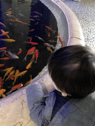 Max and fish at the Aquarium of the Antwerp Zoo