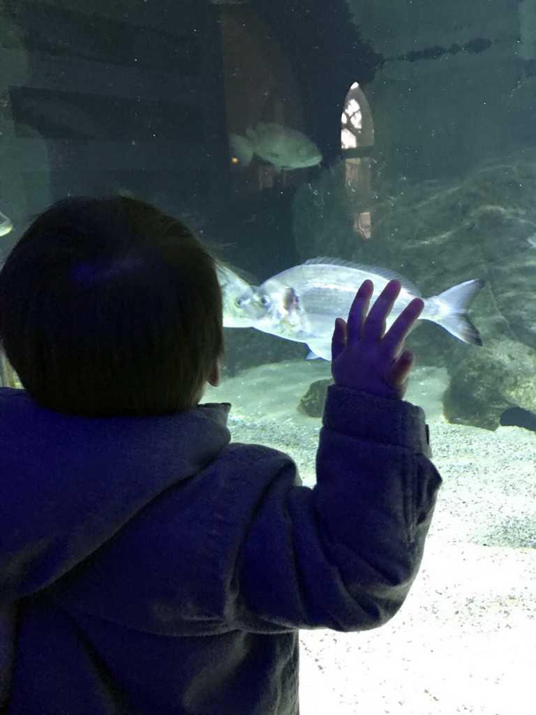 Max and fish at the Aquarium of the Antwerp Zoo