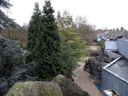 Path at the Antwerp Zoo, viewed from the front of the Reptile House