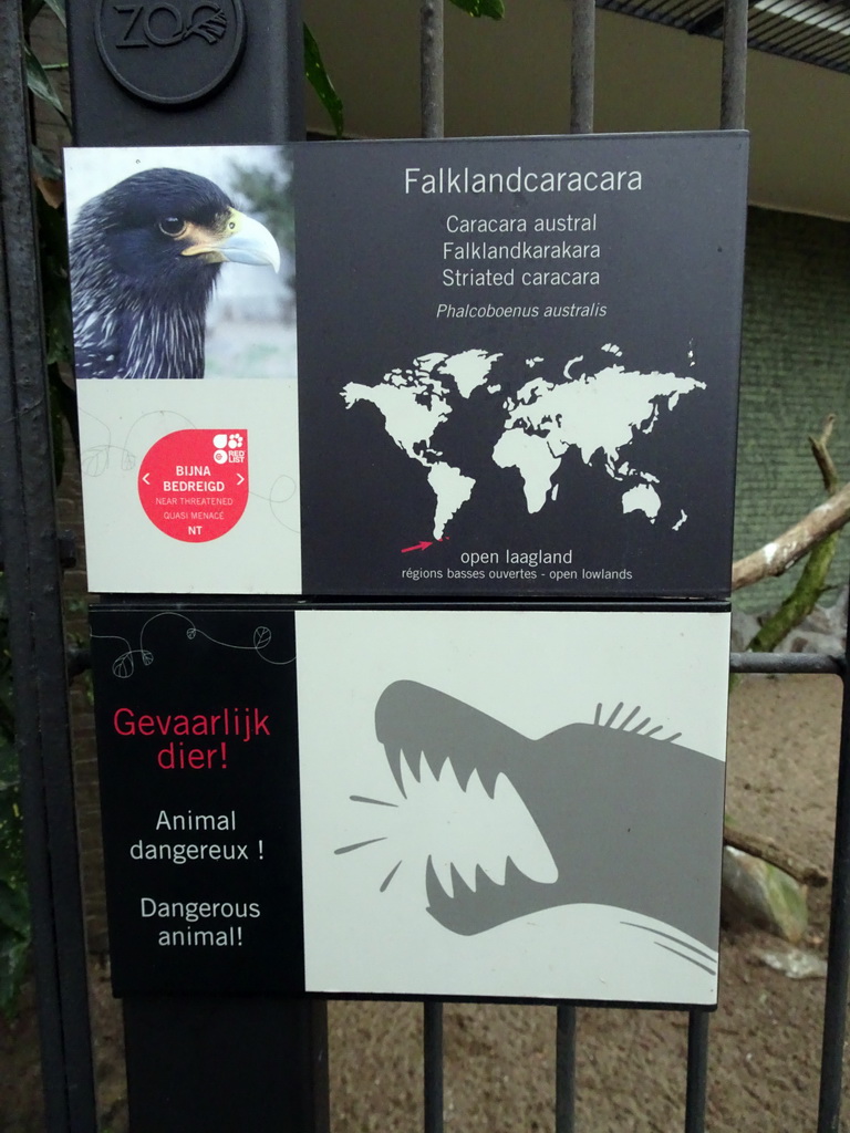 Explanation on the Striated Caracara at the Antwerp Zoo