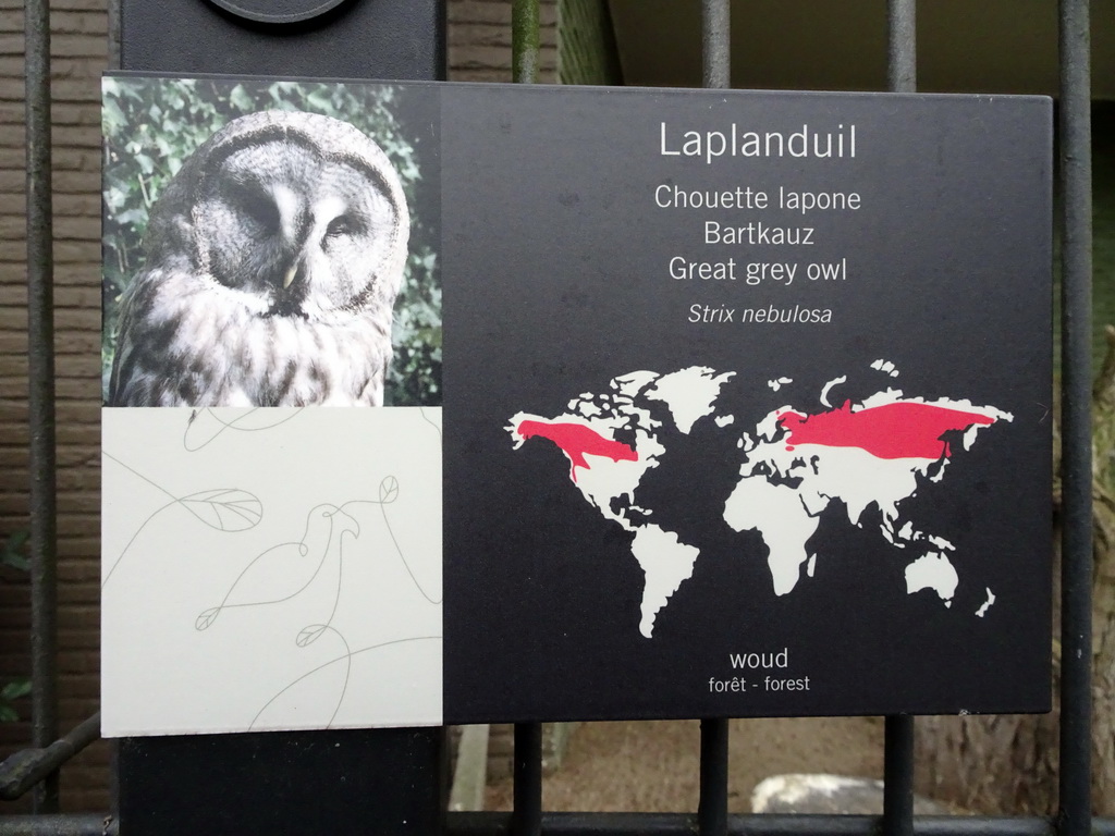 Explanation on the Great Grey Owl at the Antwerp Zoo