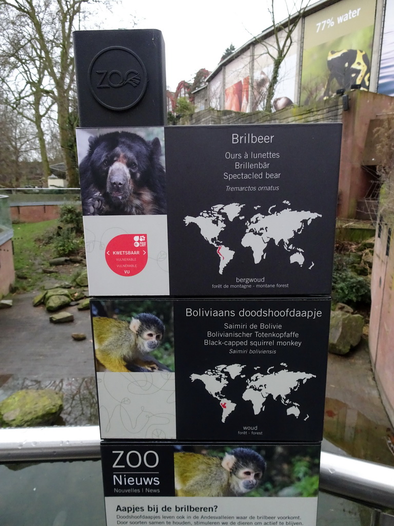 Explanation on the Spectacled Bear and Black-Capped Squirrel Monkey at the Antwerp Zoo