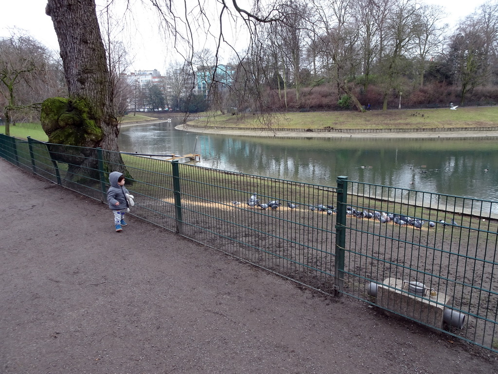 Max with pigeons and ducks at the east side of the Stadspark