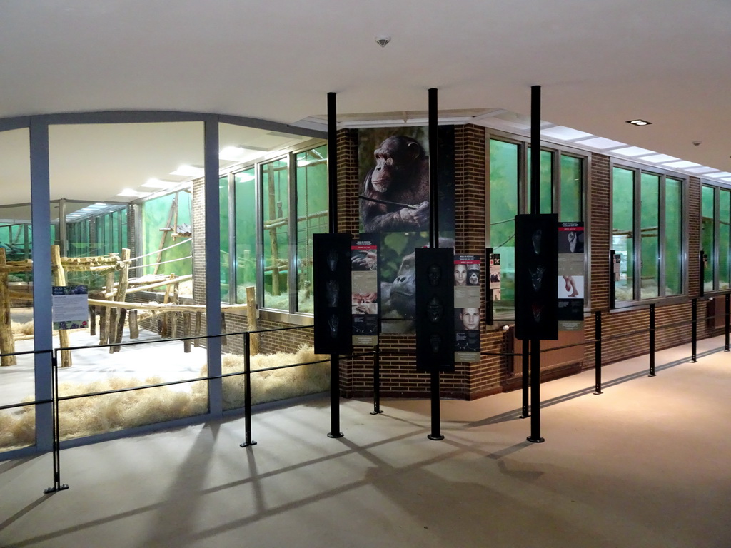 Interior of the Primate Building at the Antwerp Zoo
