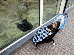 Max with a Chimpanzee at the Primate Building at the Antwerp Zoo