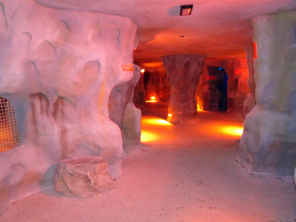 Interior of the Kitum Cave at Antwerp Zoo