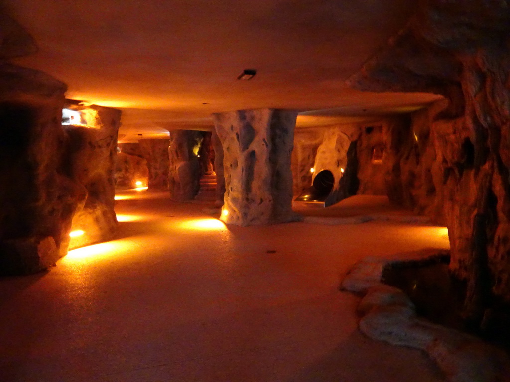 Interior of the Kitum Cave at Antwerp Zoo