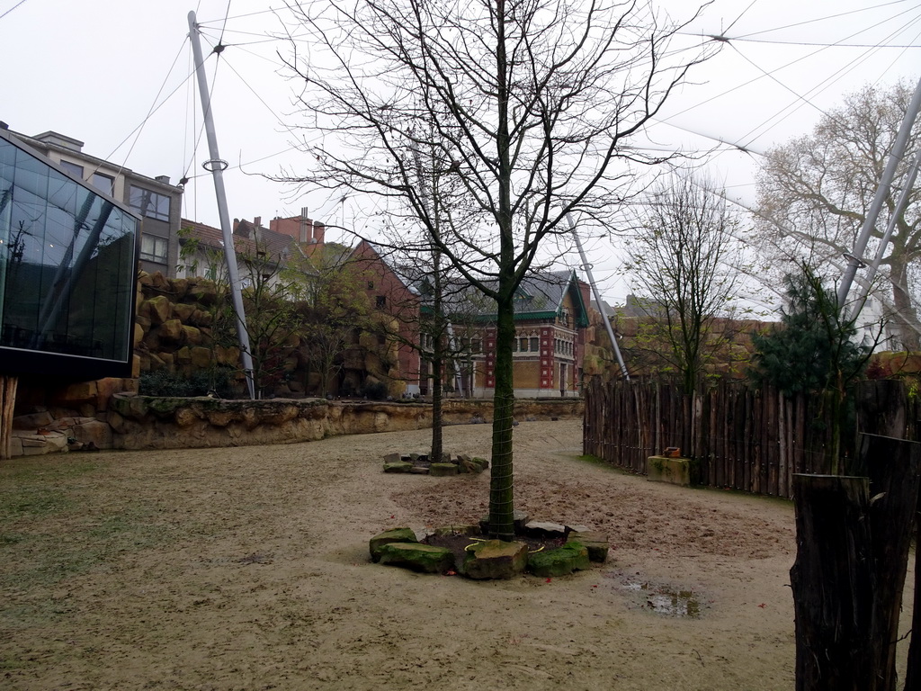 Interior of the Savannah at the Antwerp Zoo