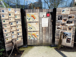 Information on the animals at the Savannah at the Antwerp Zoo