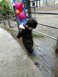 Max in front of the Egyptian Temple at the Antwerp Zoo