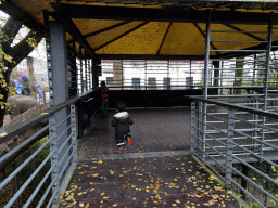 Max at the platform at the Asian Elephant enclosure at the Antwerp Zoo