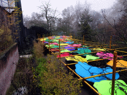 China Light decorations, viewed from the suspension bridge at the Hippotopia building at the Antwerp Zoo