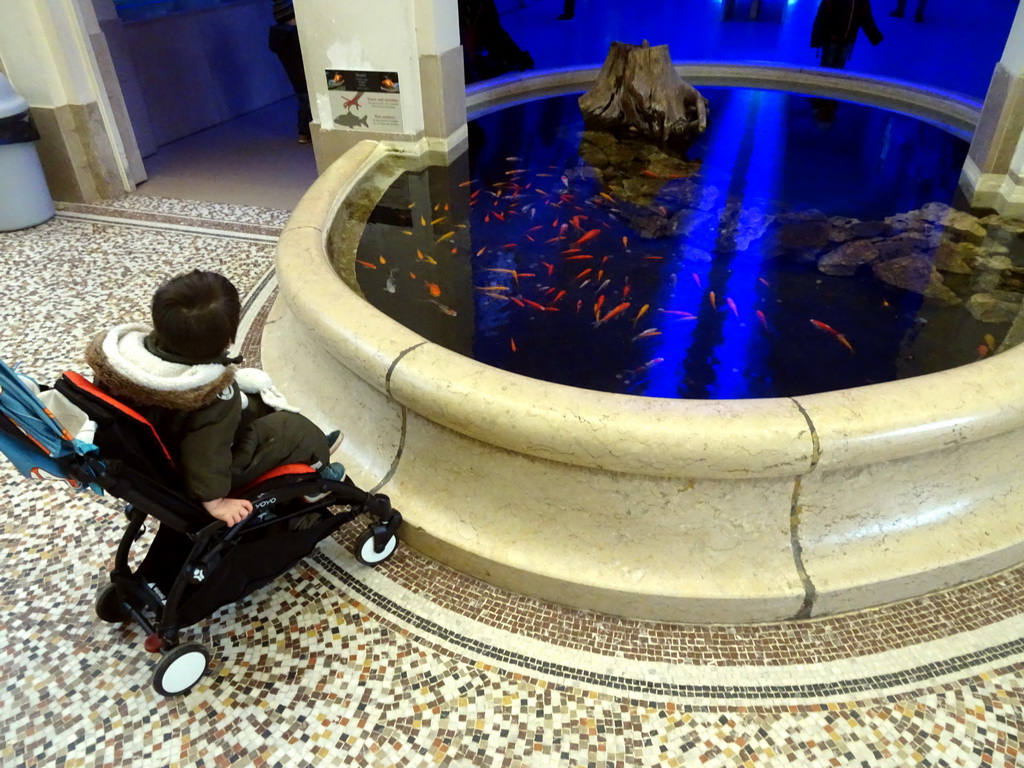 Max and goldfish at the entrance to the Aquarium of the Antwerp Zoo