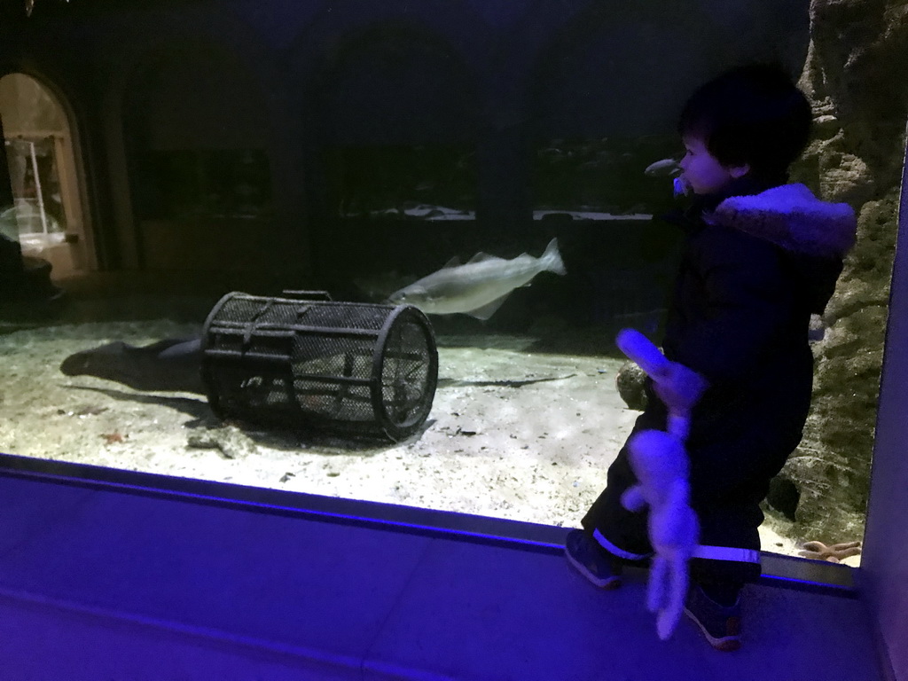 Max and fish at the Aquarium of the Antwerp Zoo