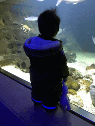 Max, crabs and fish at the Aquarium of the Antwerp Zoo