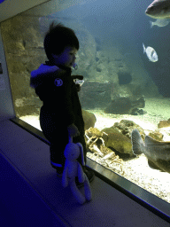 Max, crabs and fish at the Aquarium of the Antwerp Zoo