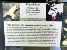 Explanation on the African Clawed Frog at the Reptile House at the Antwerp Zoo