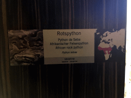 Explanation on the African Rock Python at the Reptile House at the Antwerp Zoo