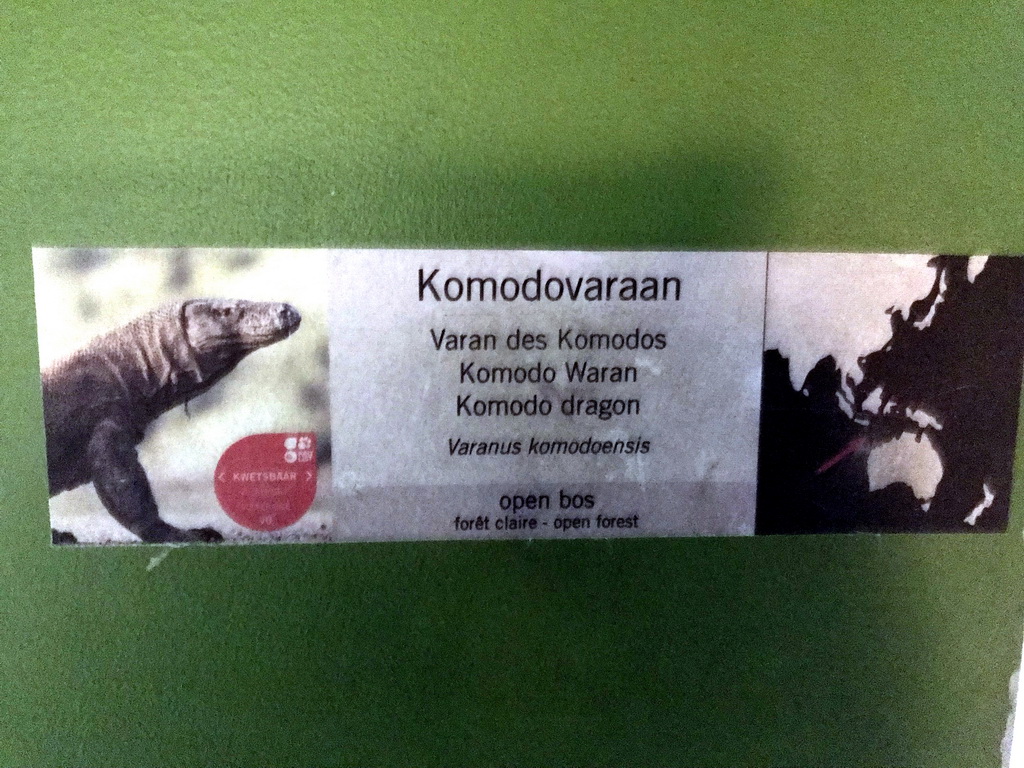 Explanation on the Komodo Dragon at the Reptile House at the Antwerp Zoo