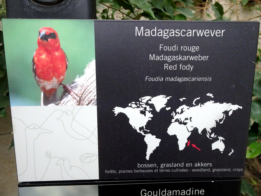 Explanation on the Red Fody at the Reptile House at the Antwerp Zoo