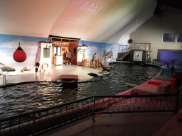 Sea Lion and zookeeper at the Aquaforum building at the Antwerp Zoo, during the Sea Lion Show