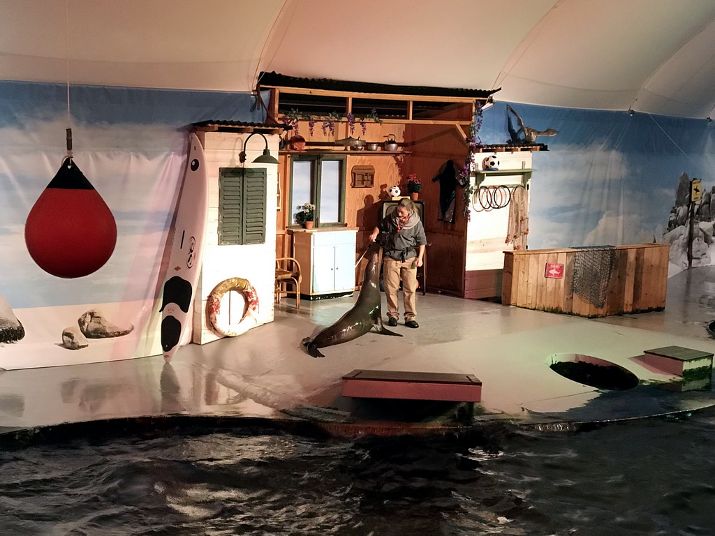 Sea Lion and zookeeper at the Aquaforum building at the Antwerp Zoo, during the Sea Lion Show