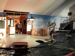 Sea Lion and zookeeper at the Aquaforum building at the Antwerp Zoo, during the Sea Lion Show