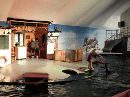 Sea Lion and zookeeper at the Aquaforum building at the Antwerp Zoo, during the Sea Lion Show