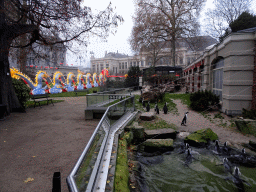 African Penguins at the Rotunda Building and Chine Light Dragon statue at the Antwerp Zoo