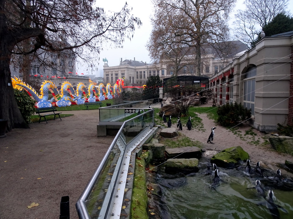 African Penguins at the Rotunda Building and Chine Light Dragon statue at the Antwerp Zoo