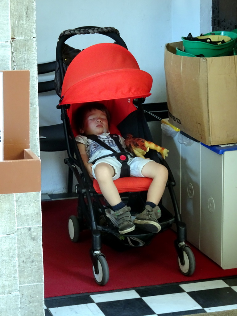 Max sleeping at the entrance to the Rubens House at the Wapper street