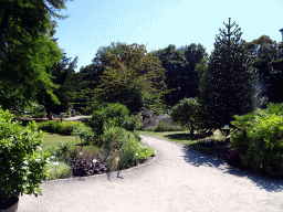 Trees and plants at the Den Botaniek botanical garden