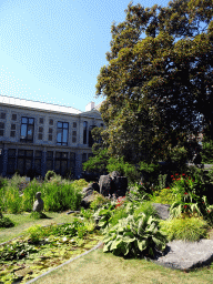 Tree, plants and statue at the Den Botaniek botanical garden