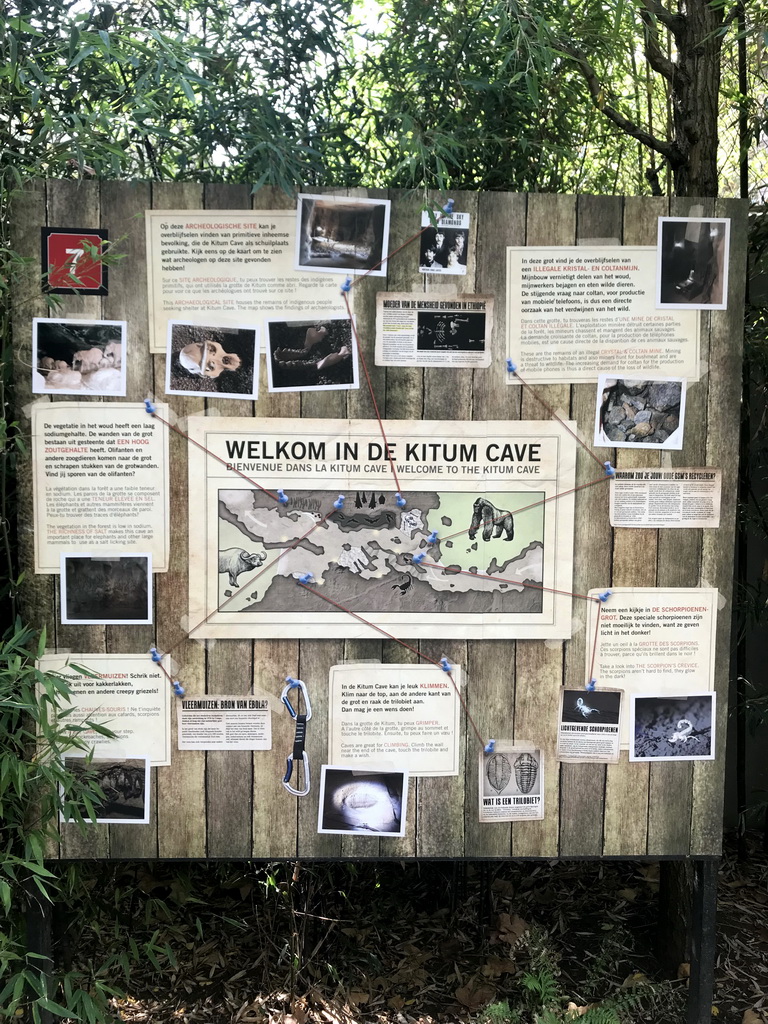 Information on the Kitum Cave at the Antwerp Zoo
