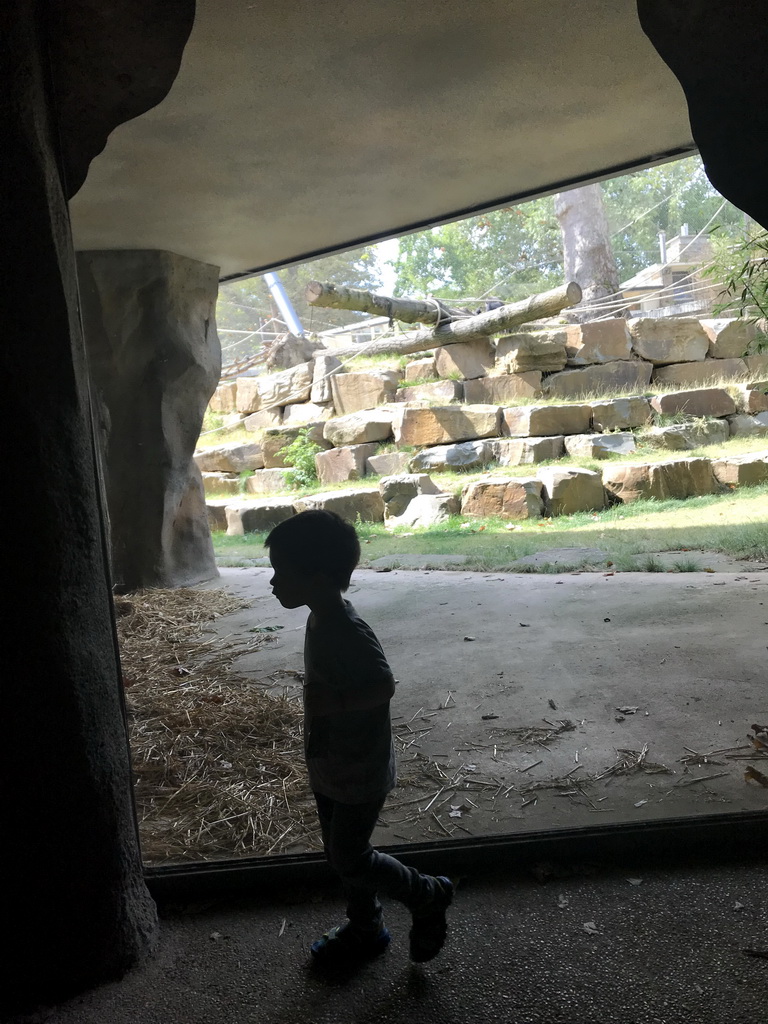 Max at the Kitum Cave at the Antwerp Zoo, with a view on the Primate Enclosure