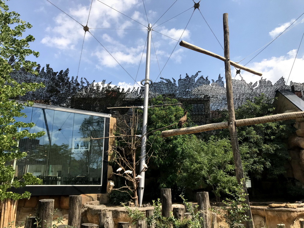 Interior of the Savannah and the Savanne Restaurant at the Antwerp Zoo