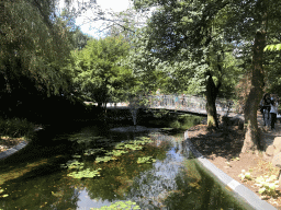 Bridge over a pond at the Antwerp Zoo