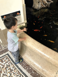 Max and goldfish at the entrance to the Aquarium of the Antwerp Zoo
