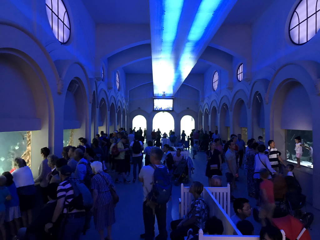 Interior of the Aquarium of the Antwerp Zoo