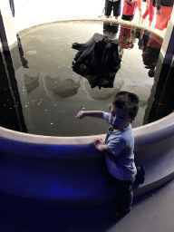 Max and goldfish at the entrance to the Aquarium of the Antwerp Zoo