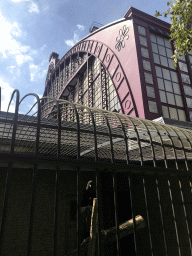 Striated Caracara at the Antwerp Zoo and the back side of the Antwerpen-Centraal railway station