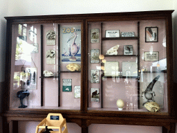 Skulls and signs at the Grand Café Flamingo at the Antwerp Zoo