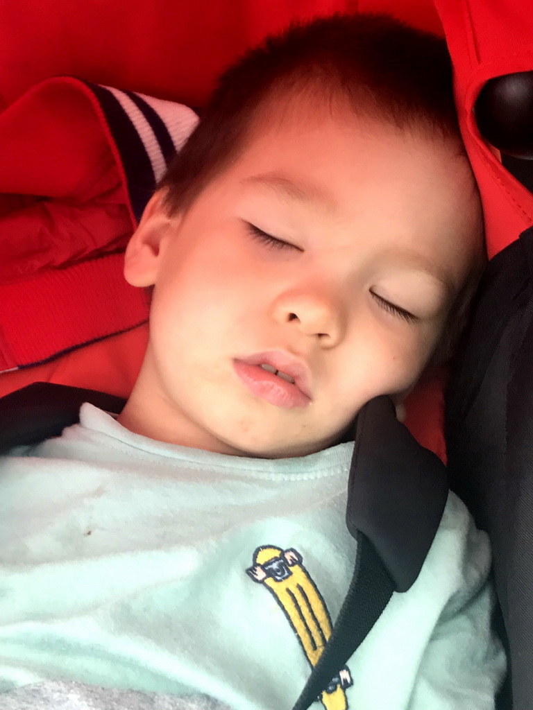 Max sleeping at the Station Zoo parking garage