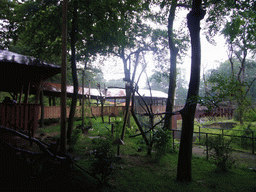 Birds in the Apenheul zoo