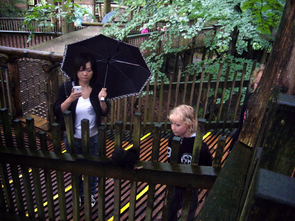 Miaomiao and a Goeldi`s Monkey in the Apenheul zoo