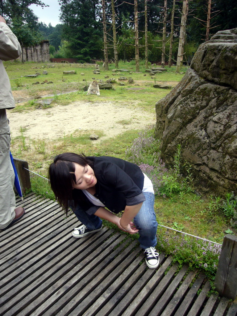 Miaomiao and a Barbary Macaque in the Apenheul zoo