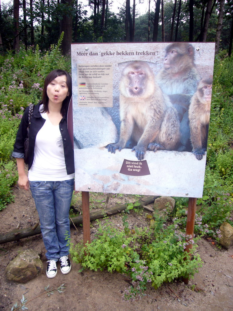 Miaomiao at an explanation on the Barbary Macaques in the Apenheul zoo